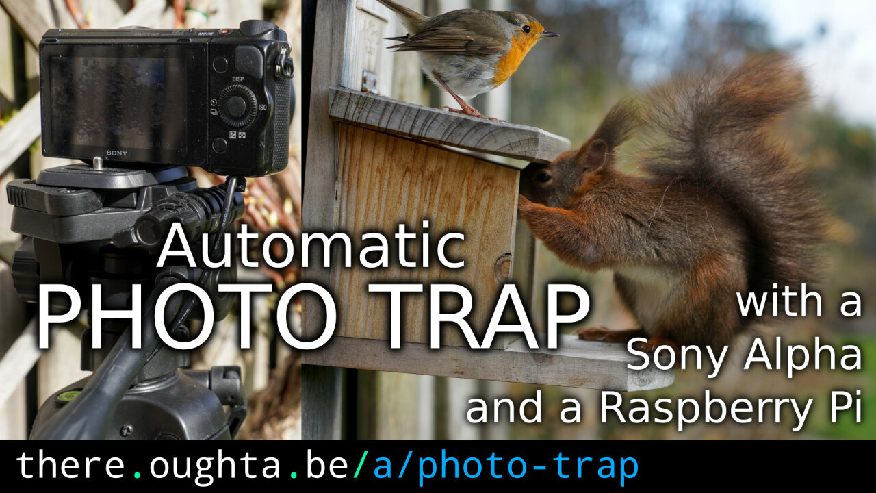 Thumbnail of the youtube video showing a Sony Alpha NEX-5T on a tripod and a squirrel on the nut box next to it.